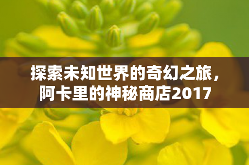 阿卡里的神秘商店2017图片