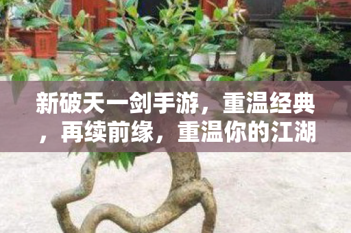 新破天一剑手游图片
