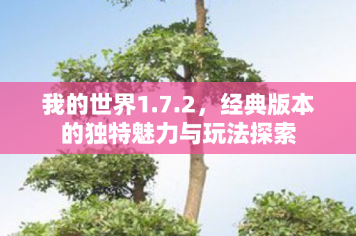 我的世界1.7.2,经典版本的独特魅力与玩法探索 我的世界1.7.2,经典版本的独特魅力与玩法探索