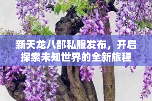 新天龙八部私服发布,开启探索未知世界的全新旅程 新天龙八部私服发布,开启探索未知世界的全新旅程