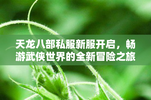天龙八部私服新服开启，畅游武侠世界的全新冒险之旅