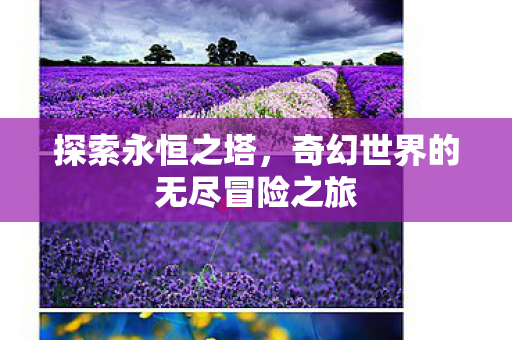 奇幻世界的无尽冒险之旅图片