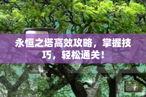 永恒之塔高效攻略图片