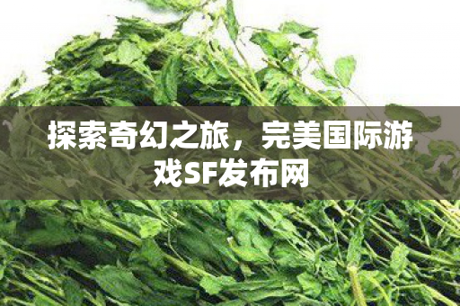 完美国际游戏SF发布网图片