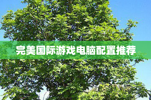 完美国际游戏电脑配置推荐图片