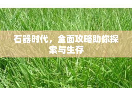 全面攻略助你探索与生存图片