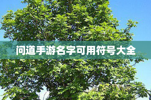 问道手游名字可用符号大全图片