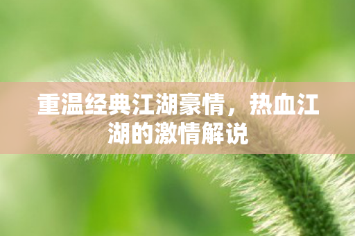 热血江湖的激情解说图片