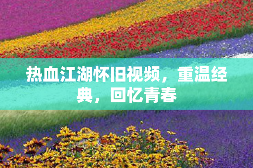 热血江湖怀旧视频图片