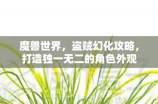 打造独一无二的角色外观图片