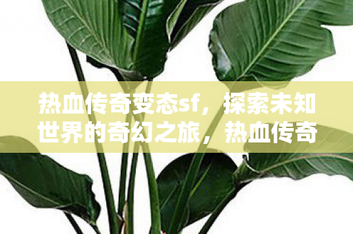 探索未知世界的奇幻之旅图片