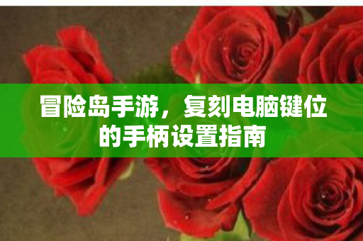 复刻电脑键位的手柄设置指南图片