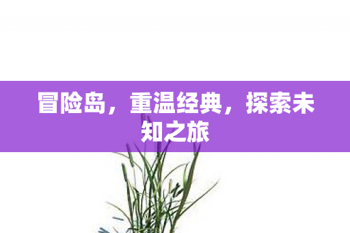 探索未知之旅图片