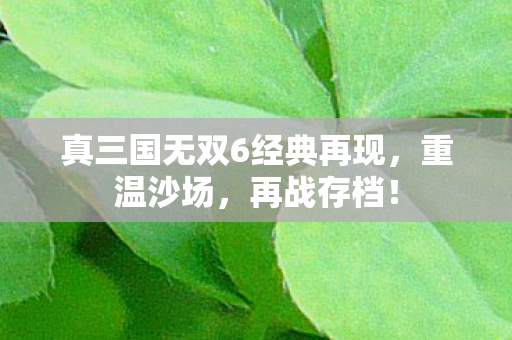 真三国无双6经典再现,重温沙场,再战存档! 真三国无双6经典再现,重温沙场,再战存档!