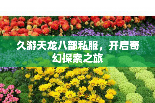 久游天龙八部私服,开启奇幻探索之旅 久游天龙八部私服,开启奇幻探索之旅