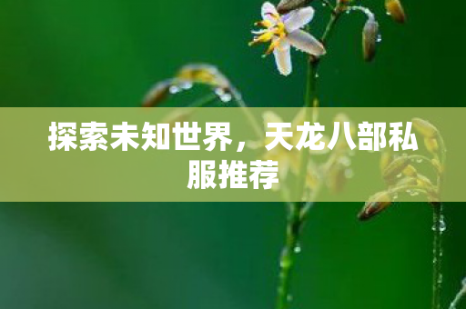 探索未知世界,天龙八部私服推荐 探索未知世界,天龙八部私服推荐