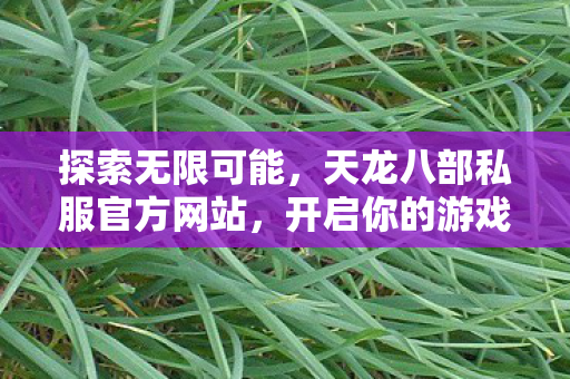 天龙八部私服官方网站图片