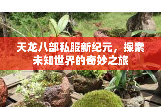 探索未知世界的奇妙之旅图片