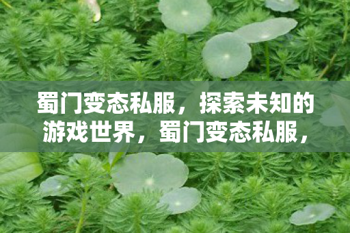 探索未知的游戏世界图片