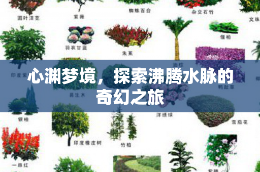探索沸腾水脉的奇幻之旅图片