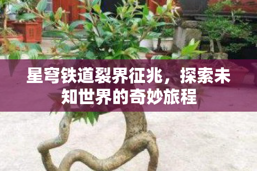探索未知世界的奇妙旅程图片