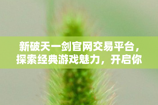 新破天一剑官网交易平台图片