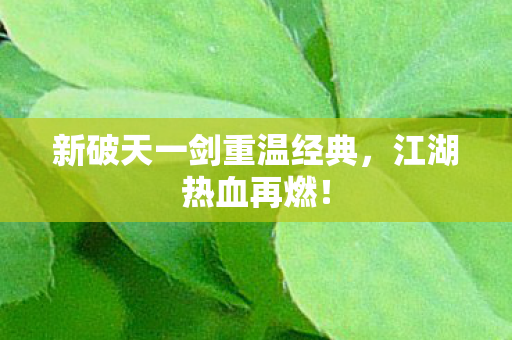 新破天一剑重温经典图片
