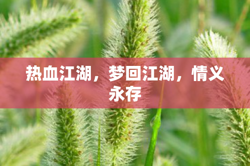 热血江湖图片
