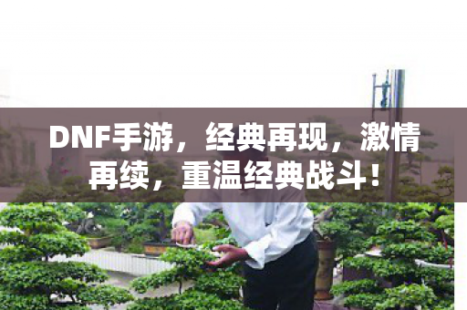 重温经典战斗图片