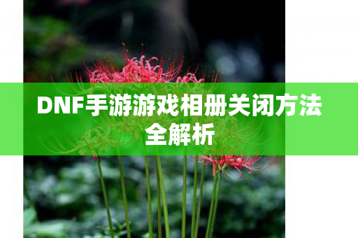 DNF手游游戏相册关闭方法全解析