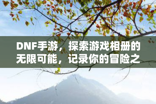 DNF手游,探索游戏相册的无限可能,记录你的冒险之旅 DNF手游,探索游戏相册的无限可能,记录你的冒险之旅