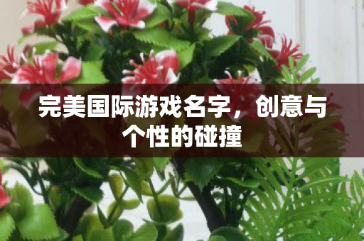 完美国际游戏名字图片