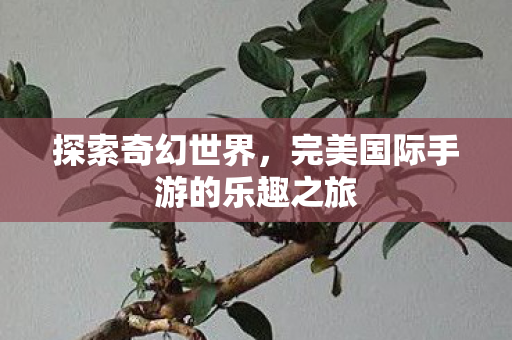 完美国际手游的乐趣之旅图片