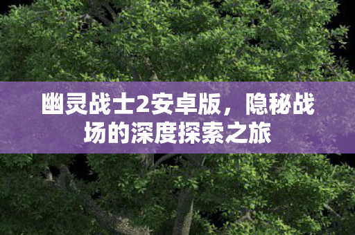 幽灵战士2安卓版,隐秘战场的深度探索之旅 幽灵战士2安卓版,隐秘战场的深度探索之旅