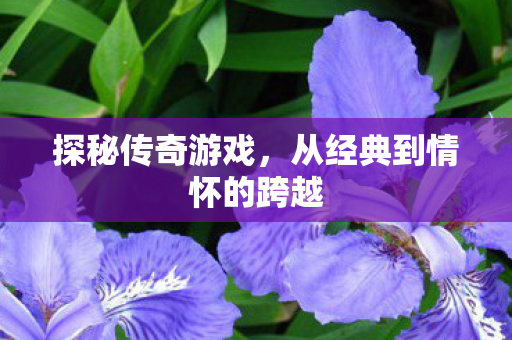 探秘传奇游戏，从经典到情怀的跨越