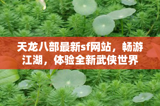 天龙八部最新sf网站,畅游江湖,体验全新武侠世界 天龙八部最新sf网站,畅游江湖,体验全新武侠世界