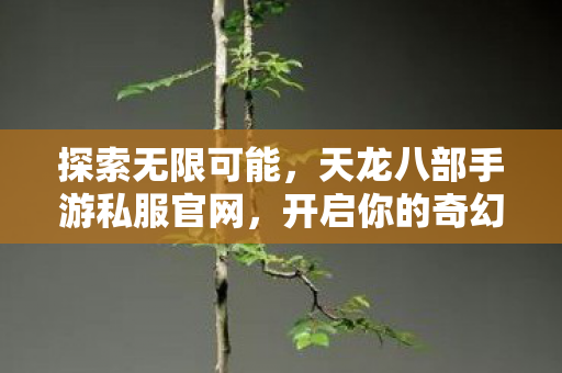 探索无限可能,天龙八部手游私服官网,开启你的奇幻冒险之旅! 探索无限可能,天龙八部手游私服官网,开启你的奇幻冒险之旅!