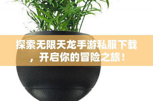 探索无限天龙手游私服下载,开启你的冒险之旅! 探索无限天龙手游私服下载,开启你的冒险之旅!