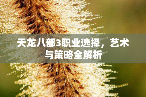 天龙八部3职业选择图片