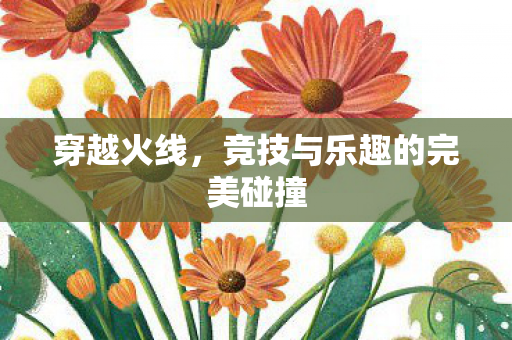 竞技与乐趣的完美碰撞图片