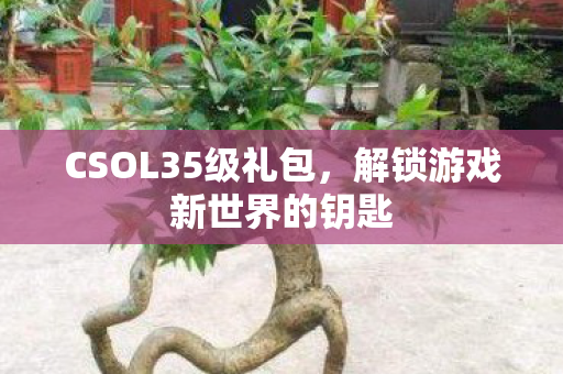 解锁游戏新世界的钥匙图片