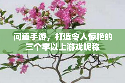 打造令人惊艳的三个字以上游戏昵称图片
