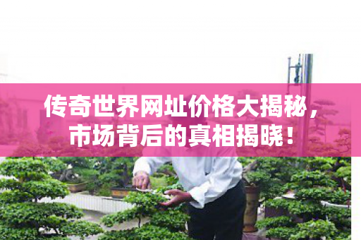 传奇世界网址价格大揭秘，市场背后的真相揭晓！