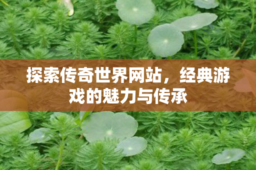 探索传奇世界网站,经典游戏的魅力与传承 探索传奇世界网站,经典游戏的魅力与传承