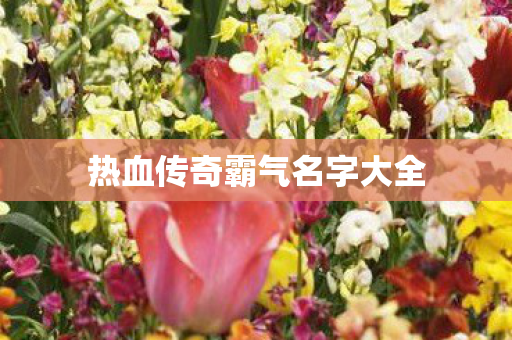 热血传奇霸气名字大全图片
