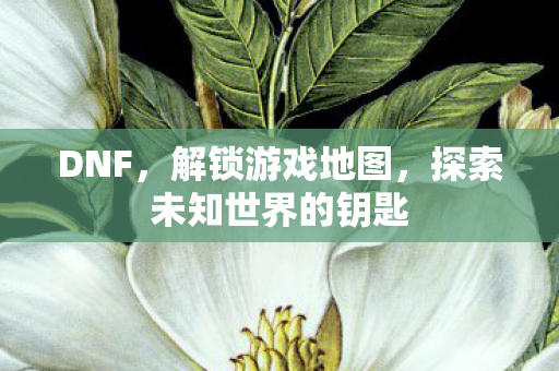 探索未知世界的钥匙图片