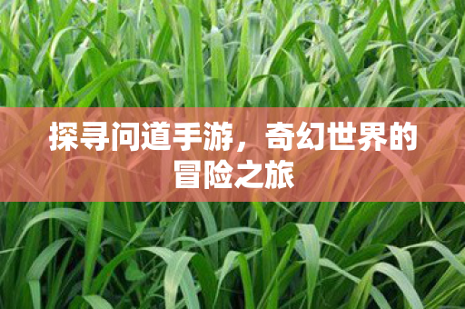 奇幻世界的冒险之旅图片