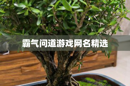 霸气问道游戏网名精选图片
