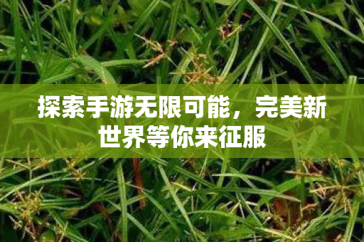 完美新世界等你来征服图片