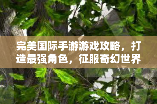 完美国际手游游戏攻略图片
